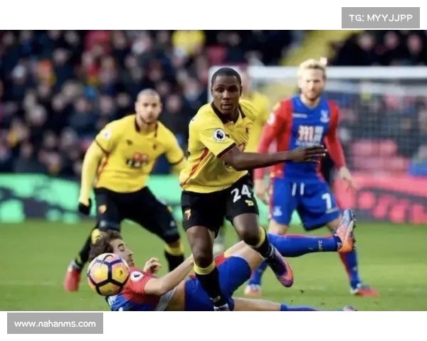 佩杜拉:邦多无意租借加盟克雷莫内塞仍在寻求其他机会 佩杜拉:邦多无意租借加盟克雷莫内塞仍在寻求其他机会