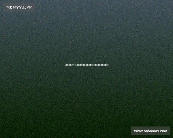 乌戈舒库以2300万镑转会费加盟伯恩利 切尔西中场新篇章开启