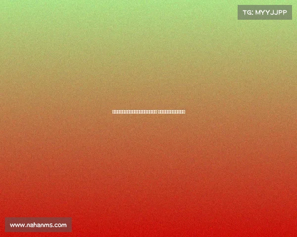 基耶利尼与门兴后卫基亚罗迪亚深入交流 探讨足球理念与未来发展