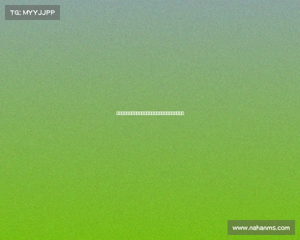 德甲创始队历史渊源与影响力分析：从起源到今日的辉煌之路