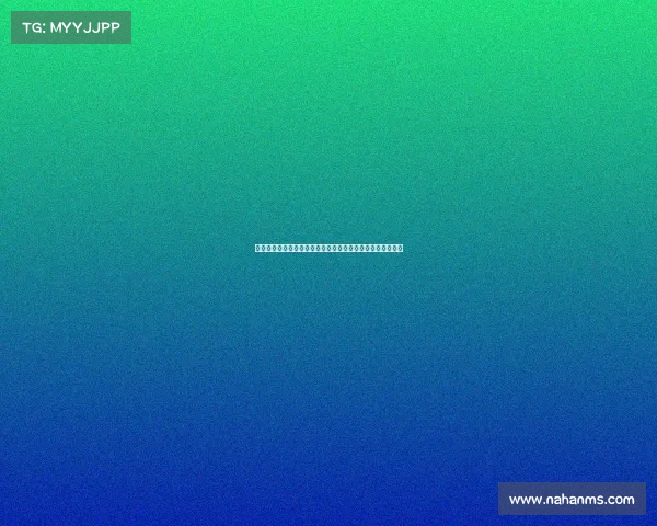 预选赛激烈角逐各路强队争锋未来晋级之路如何铺开全程解析